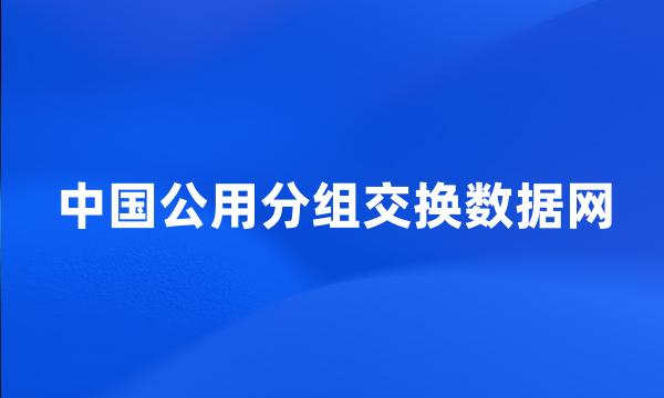 中国公用分组交换数据网