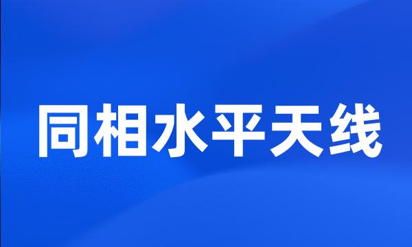 同相水平天线