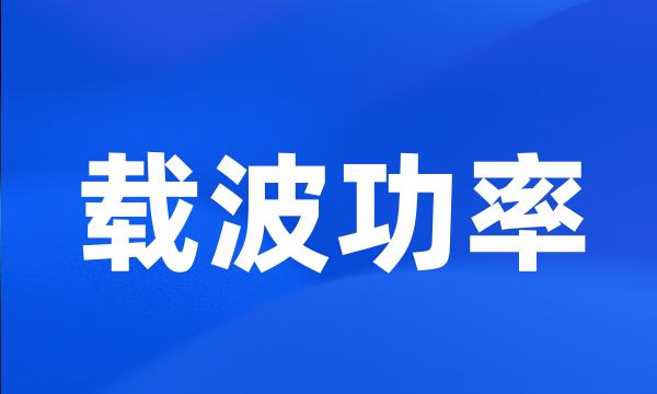 载波功率