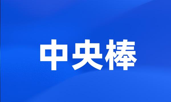 中央棒