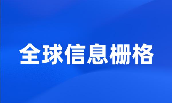 全球信息栅格