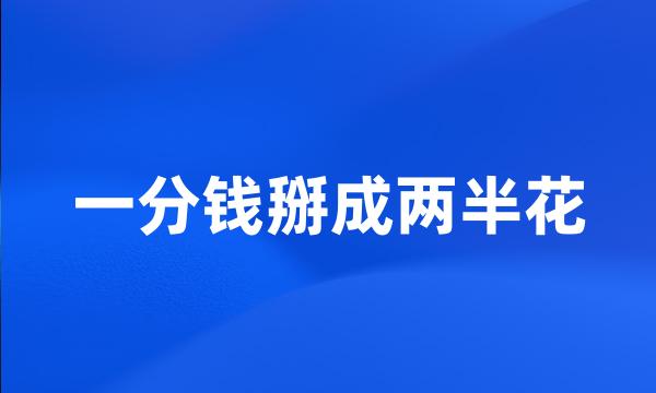 一分钱掰成两半花