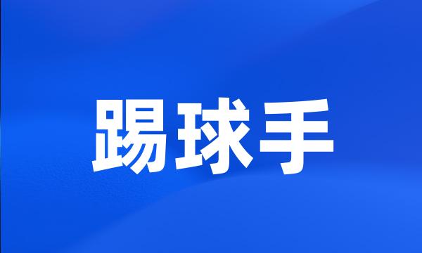 踢球手