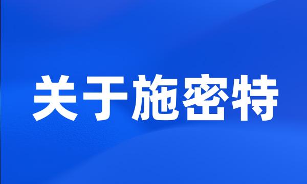 关于施密特