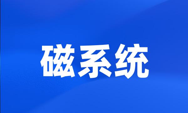 磁系统