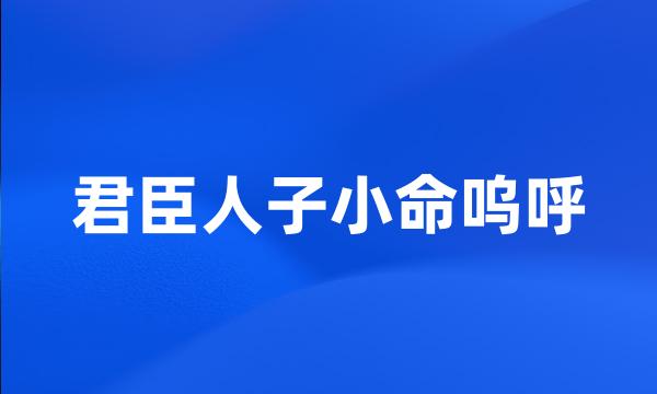 君臣人子小命呜呼