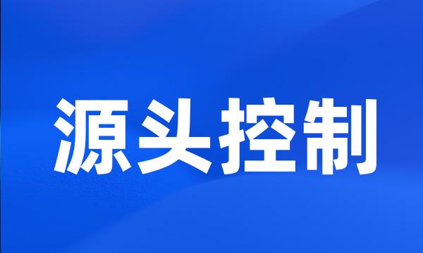 源头控制