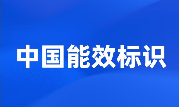 中国能效标识