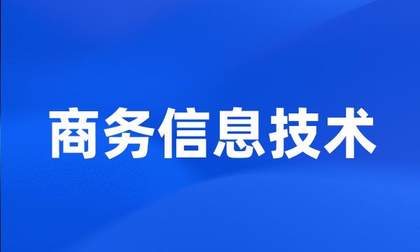 商务信息技术