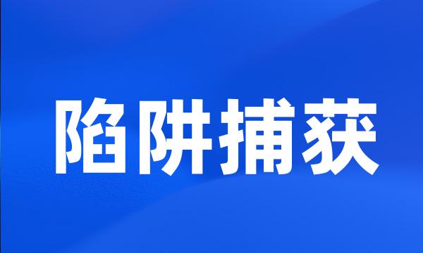 陷阱捕获