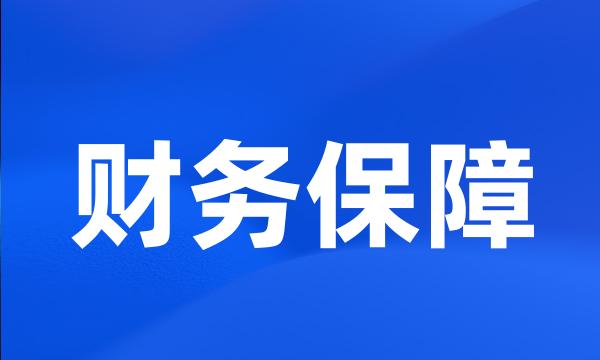 财务保障