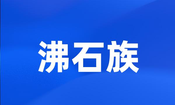 沸石族