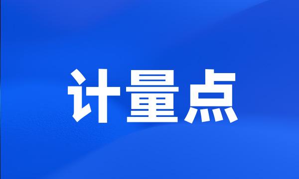 计量点