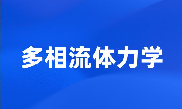 多相流体力学