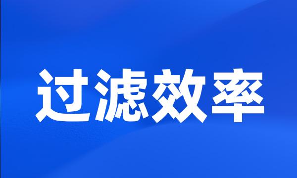 过滤效率