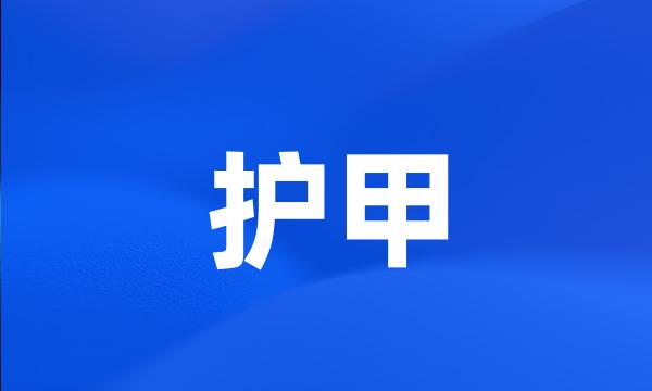 护甲