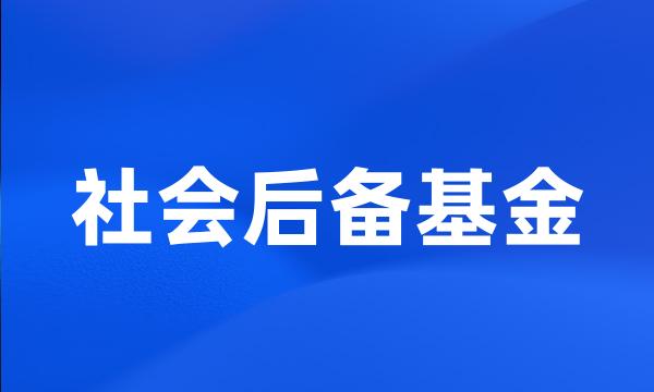 社会后备基金