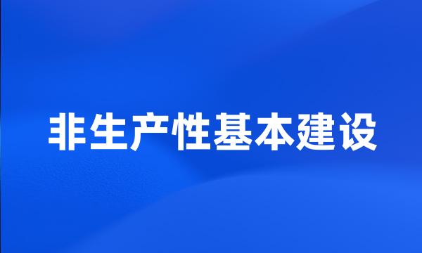 非生产性基本建设