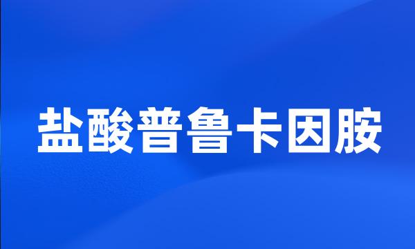 盐酸普鲁卡因胺