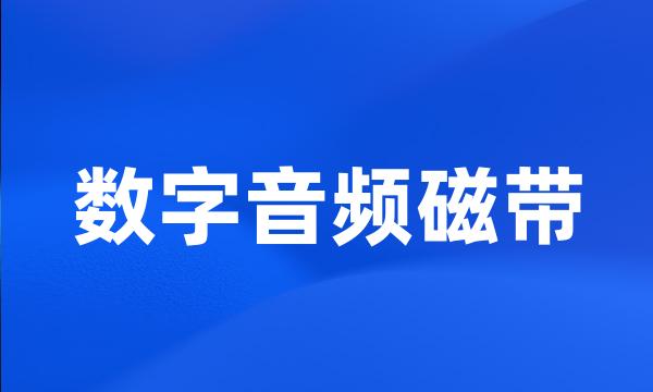 数字音频磁带