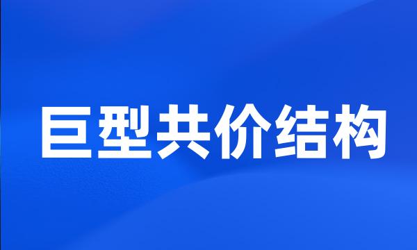 巨型共价结构