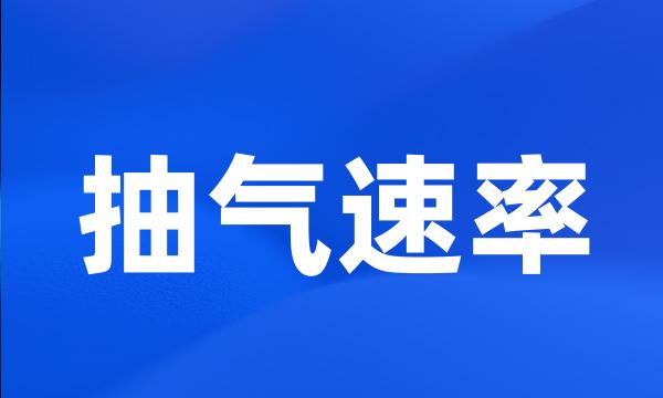 抽气速率