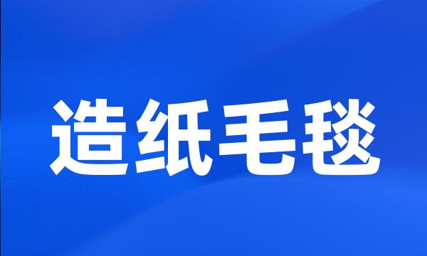 造纸毛毯