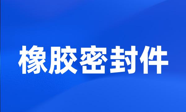 橡胶密封件