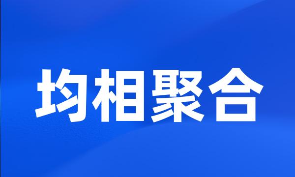 均相聚合