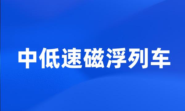 中低速磁浮列车