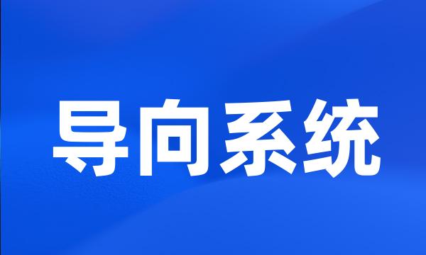 导向系统