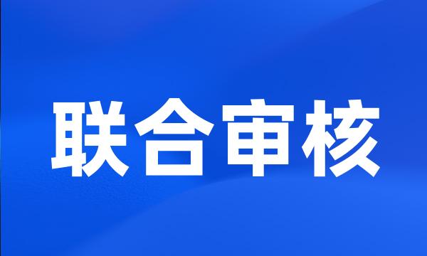 联合审核