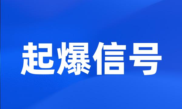 起爆信号