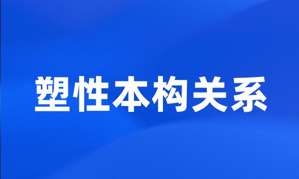 塑性本构关系