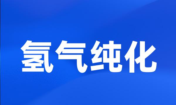 氢气纯化