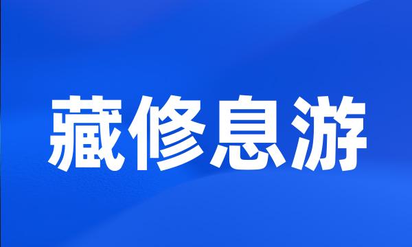 藏修息游