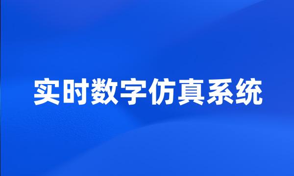 实时数字仿真系统