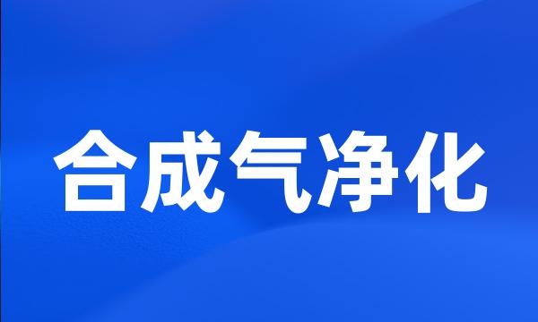 合成气净化