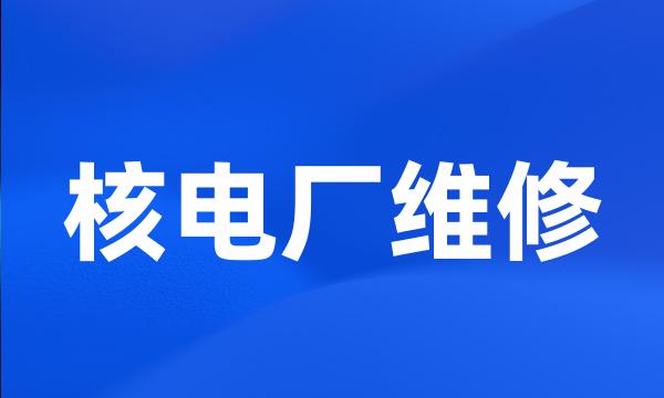 核电厂维修