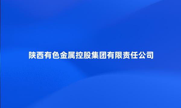 陕西有色金属控股集团有限责任公司