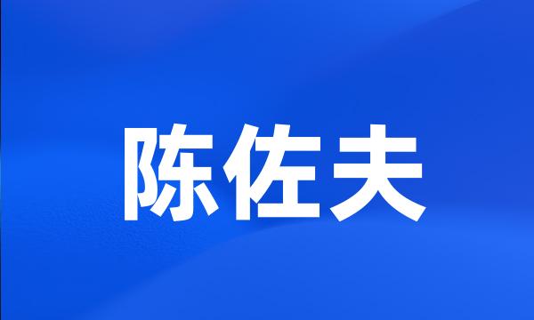 陈佐夫