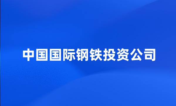 中国国际钢铁投资公司