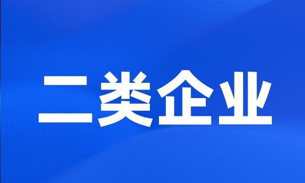 二类企业