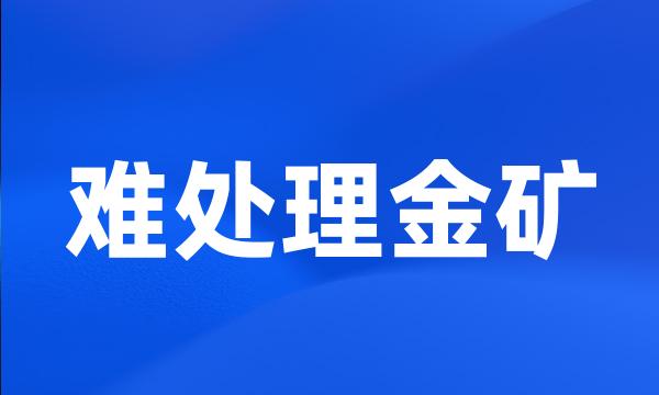 难处理金矿