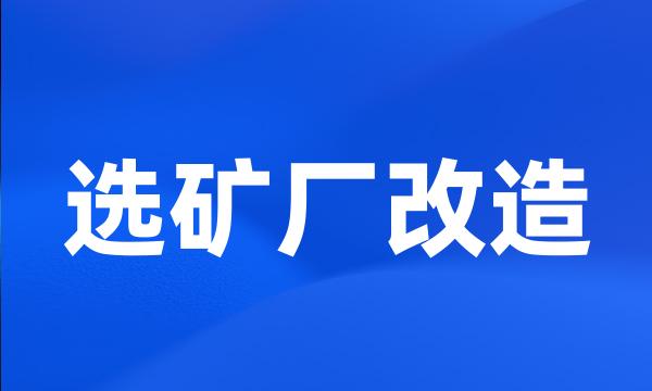 选矿厂改造