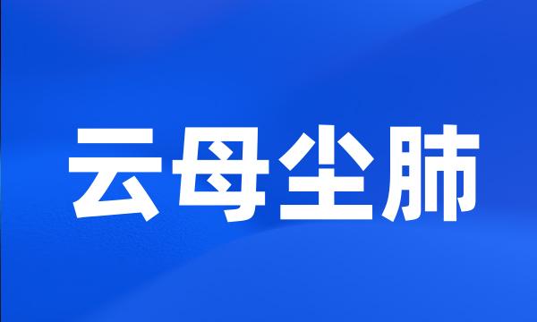 云母尘肺