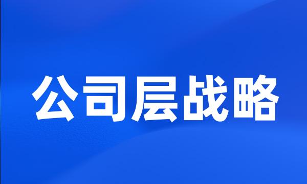 公司层战略