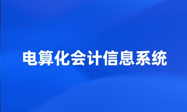 电算化会计信息系统