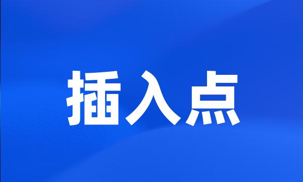 插入点