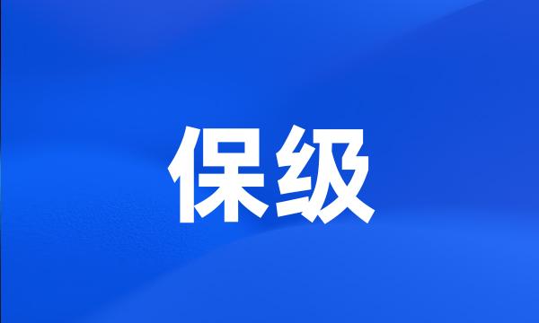 保级